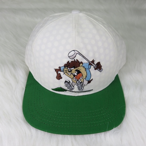 warner brothers ball cap